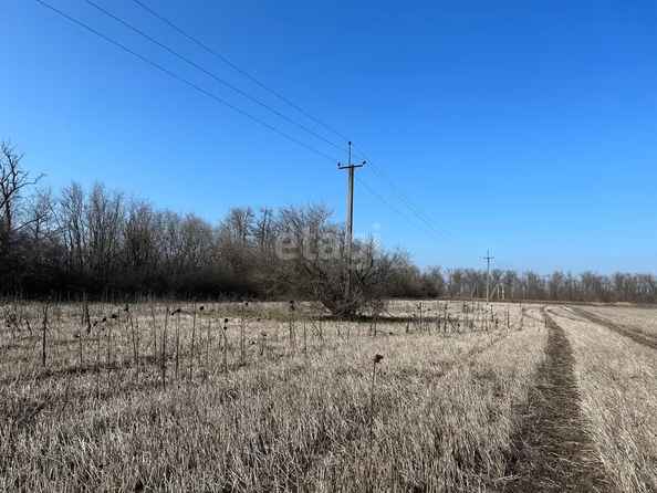 
  Продам  участок ИЖС, 6 соток, Щепкин

. Фото 1.