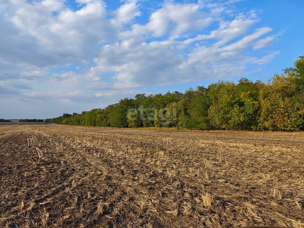 
  Продам  участок ИЖС, 10 соток, Красный

. Фото 2.