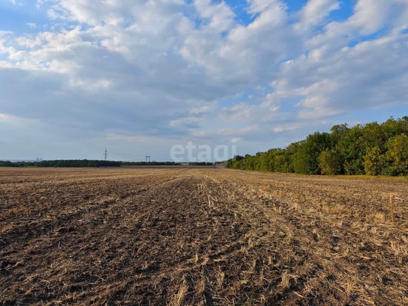 
  Продам  участок ИЖС, 10 соток, Красный

. Фото 4.