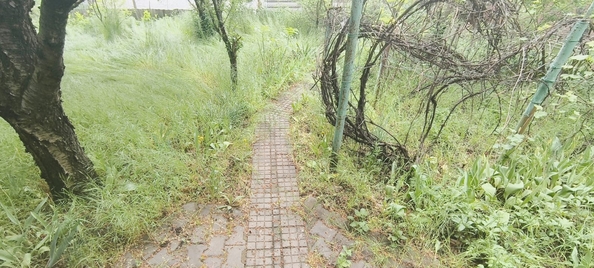 
  Продается дача, 55 м², Ростов-на-Дону
. Фото 8.