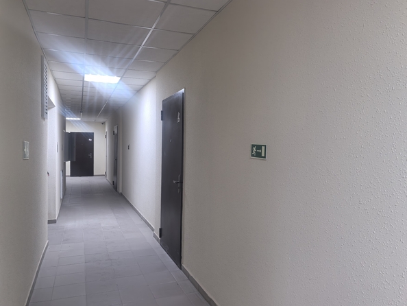 
  Продается студия, 29 м², 23-я линия ул, д. 54
. Фото 11.