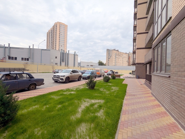 
  Продается студия, 28.6 м², 20-я линия ул, д. 49
. Фото 15.