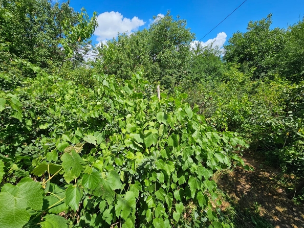 
  Продается земельный участок, 6 соток, Ростов-на-Дону
. Фото 6.