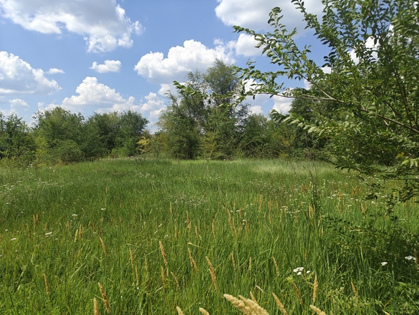 
  Продается земельный участок, 12 соток, станица Егорлыкская
. Фото 1.