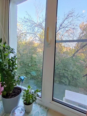 
  Продается 1-комн. квартира, 30.2 м², Криворожская ул, д. 59
. Фото 16.