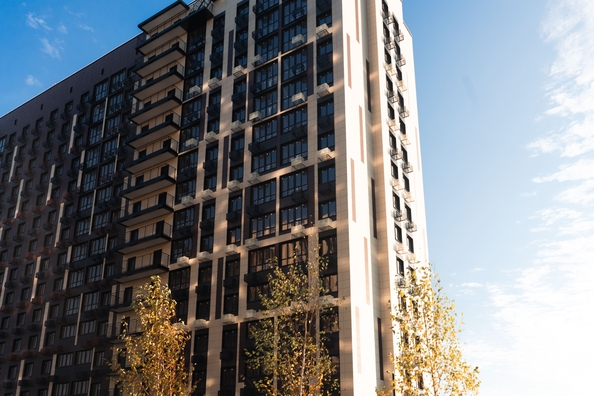 
  Продается студия 22.65 м², в ЖК Флора, литера 1.2. Фото 1.