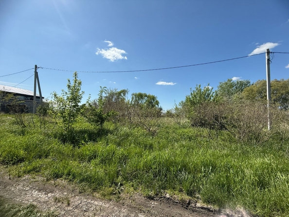 
  Продается земельный участок, 7.5 соток, хутор Рогожкино
. Фото 5.