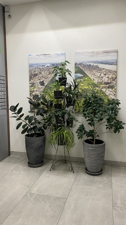 
  Продается студия, 28 м², Шолохова пр-кт, д. 211
. Фото 8.