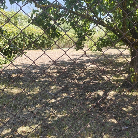 
  Продается земельный участок, 5.5 соток, хутор Шмат
. Фото 2.