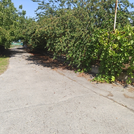 
  Продается земельный участок, 5.5 соток, хутор Шмат
. Фото 11.