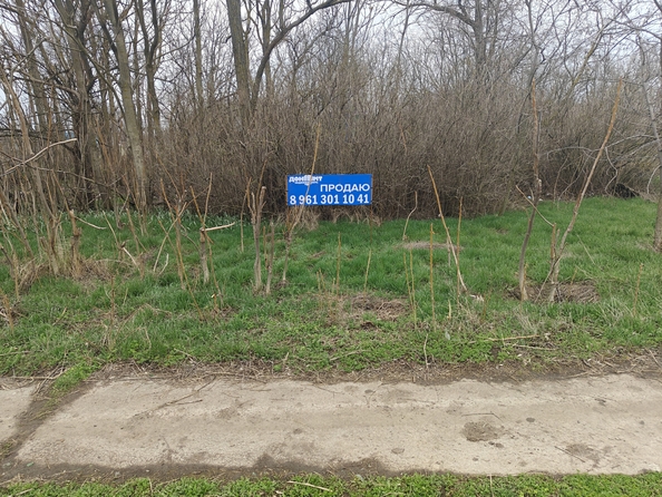 
  Продается земельный участок, 38.93 соток, хутор Кут
. Фото 6.