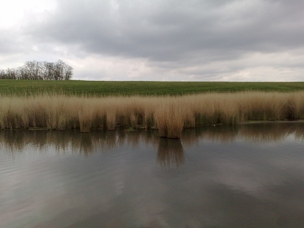 
  Продается земельный участок, 38.93 соток, хутор Кут
. Фото 14.