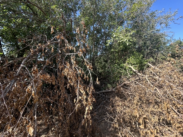 
  Продается земельный участок, 6.5 соток, Ростов-на-Дону
. Фото 13.