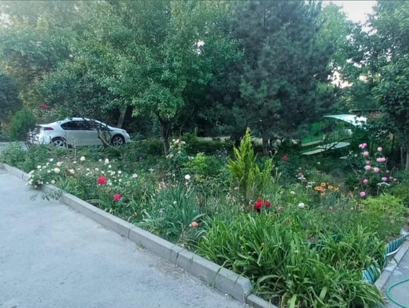 
  Продается 3-комн. квартира, 41.5 м², Лесопарковая ул, д. 16
. Фото 7.