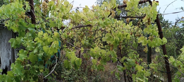 
  Продается коттедж, 96 м², хутор Большой Лог
. Фото 15.