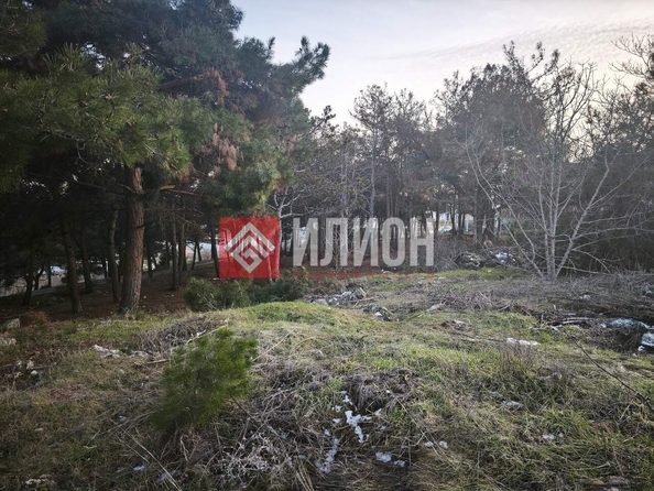 
  Продается земельный участок 7.7 соток. Фото 12.