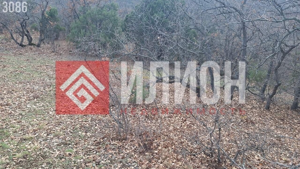 
  Продается земельный участок 5.2 соток. Фото 6.
