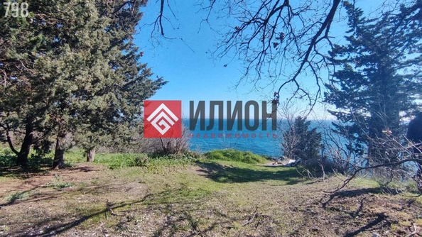 
  Продается земельный участок 39.6 соток. Фото 5.