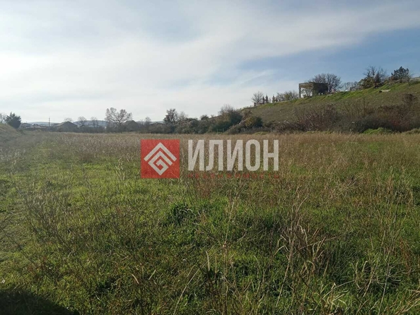 
  Продается земельный участок 217.2 соток. Фото 1.
