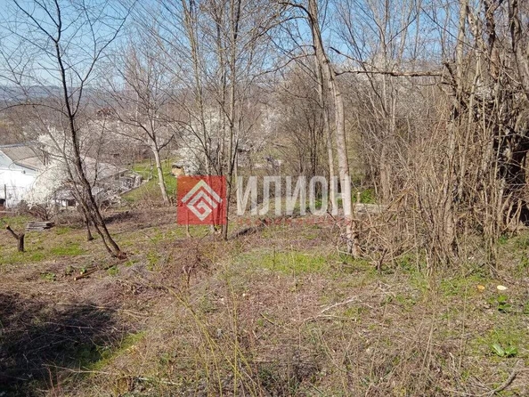 
  Продается земельный участок 25 соток. Фото 24.