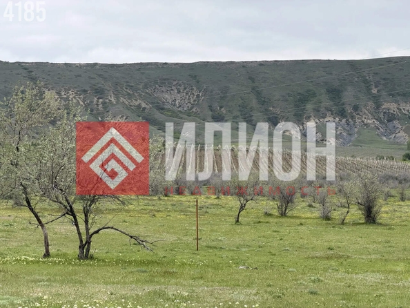 
  Продается земельный участок 8 соток. Фото 4.