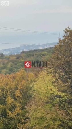 
  Продается земельный участок 25 соток. Фото 4.