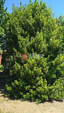 
  Продается дом 62.4 м². Фото 16.
