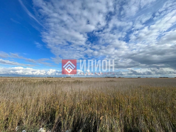 
  Продается земельный участок 6 соток. Фото 3.