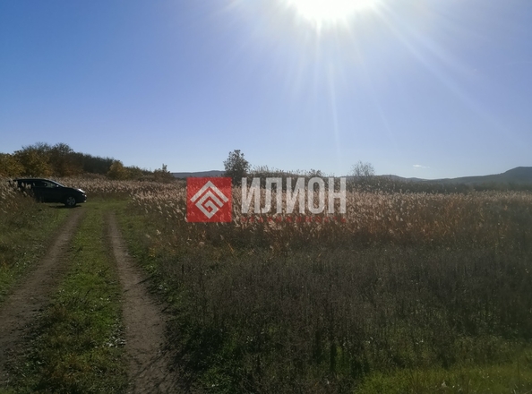 
  Продается земельный участок 243 сотки. Фото 4.