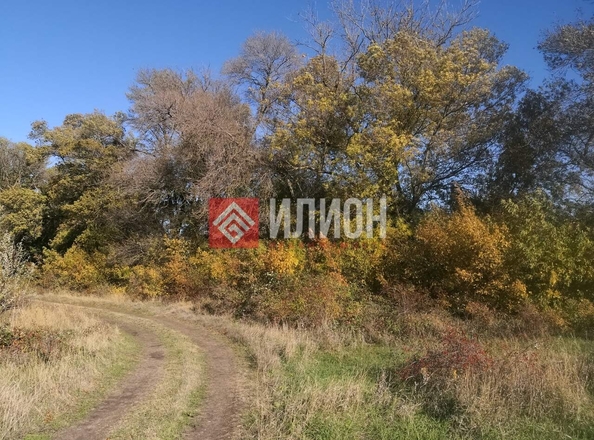 
  Продается земельный участок 243 сотки. Фото 10.