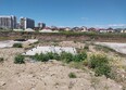 Лесные дали: Ход строительства 2 июля 2026