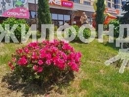 Продается 1-комнатная квартира Донская ул, 29  м², 11000000 рублей