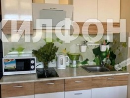 Продается 1-комнатная квартира Лысая гора ул, 29  м², 7200000 рублей