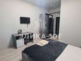 Продается 1-комнатная квартира Приморская ул, 21 м², 3550000 рублей