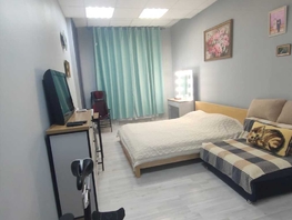 Продается 1-комнатная квартира Владимирская ул, 41  м², 4250000 рублей