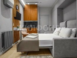 Продается 1-комнатная квартира Пирогова ул, 17  м², 7300000 рублей