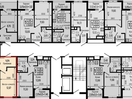 Продается 1-комнатная квартира ЖК Ботаника Хилс, лит 1, 38.39  м&sup2;, 10697000 рублей