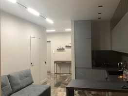 Продается 2-комнатная квартира ЖК Альпийский квартал, 46 м², 21200000 рублей
