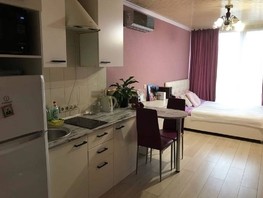 Продается 1-комнатная квартира Лысая гора ул, 23  м², 7000000 рублей