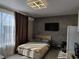 Продается 1-комнатная квартира Просвещения ул, 25.4  м², 7500000 рублей