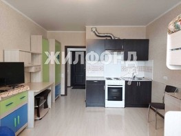 Продается 1-комнатная квартира писателя Знаменского пр-кт, 26.6  м², 3500000 рублей