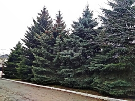 Продается Дом Азовская ул, 1500 м², участок 18 сот., 70000000 рублей